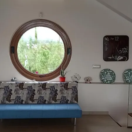 Elva * نافبليو